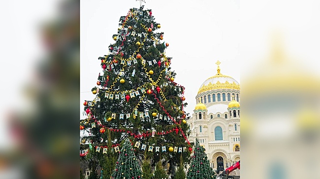 Минстрой назвал самые красивые новогодние елки