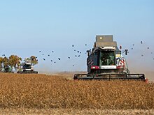 Ингушетия поставит продукцию АПК в Костромскую область