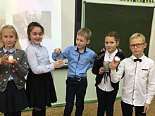 Учащиеся школы № 507 изучили свойства соли