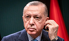 «Надеюсь получить скидку»: Эрдоган о беседе с Путиным по ценам на газ