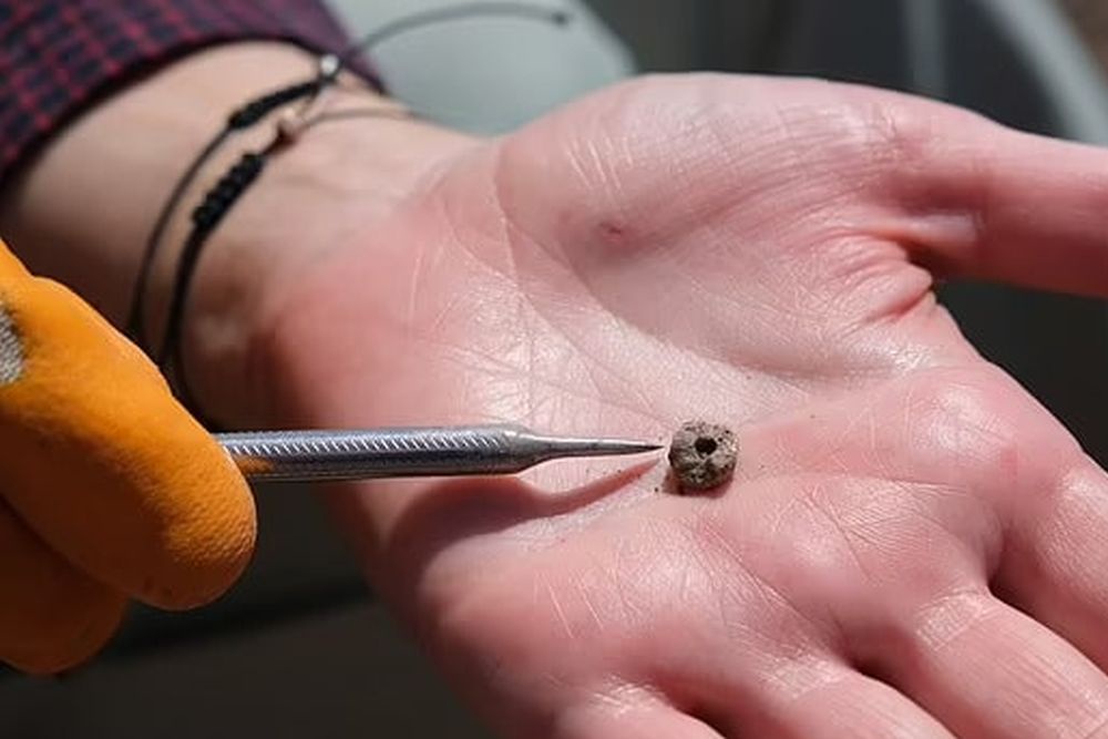 Древнейшие следы пирсинга обнаружены в Турции