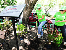 В Челябинске прошла всероссийская акция «Зелёный двор»