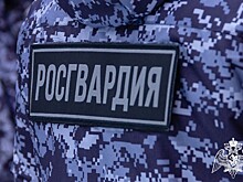 Бронированная техника пройдет по дорогам Кубани 17 декабря