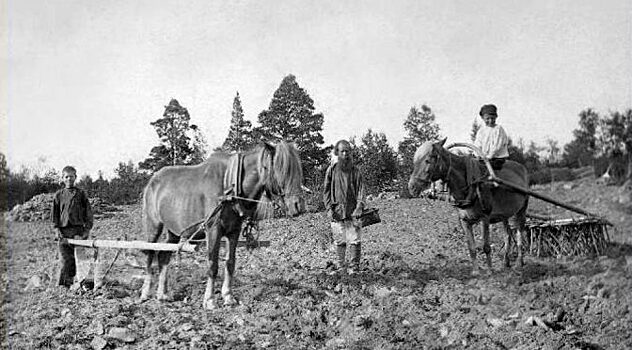 Почему крестьяне не считали убийство преступлением