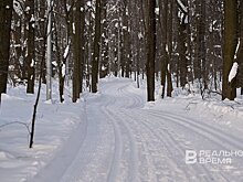 В Псковской области снимут фильм о подвиге "татарского" лыжного батальона