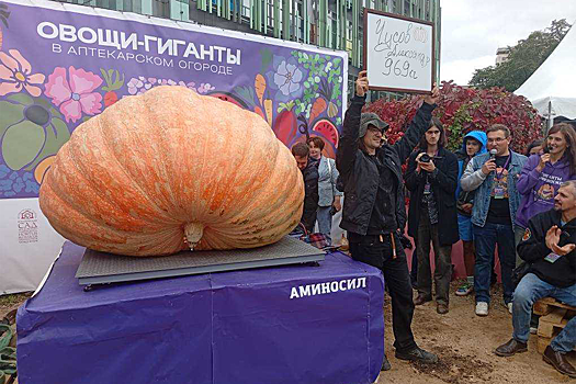 В "Аптекарском огороде" выставлена гигантская тыква весом 969 кг