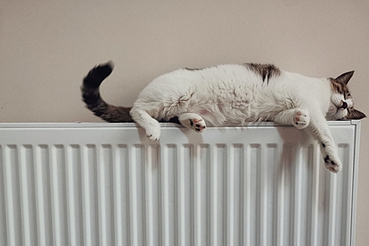 Эксперт по ЖКХ назвала сроки включения отопления в квартирах