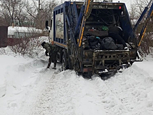 Мусорные кучи заполонили контейнеры сибирского города из-за резкого потепления