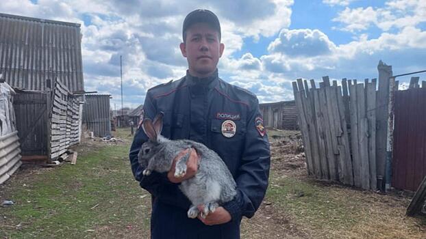 Самарская полиция установила 18-летнего организатора и 17-летнего исполнителя хищения 16 кроликов