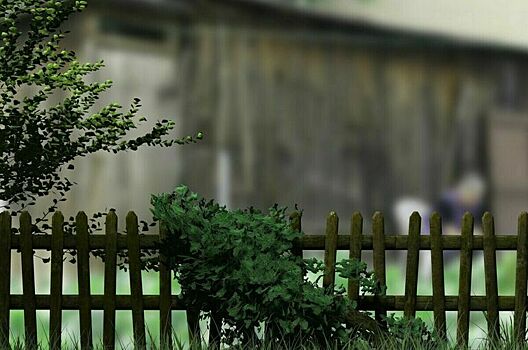 Жителям приграничных регионов вернут землю и дома