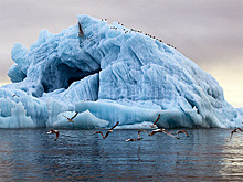 Закодированные послания заморозят в Арктике на 25 лет