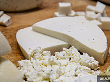 В Челябинскую область привезли опасный сыр из Чечни