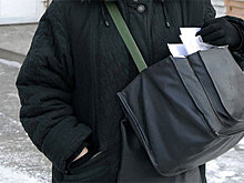 Под Тверью почтальон с пенсиями отбилась от грабителей с ломиком