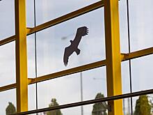 На стеклах вестибюлей московского метро расклеили стикеры для отпугивания птиц