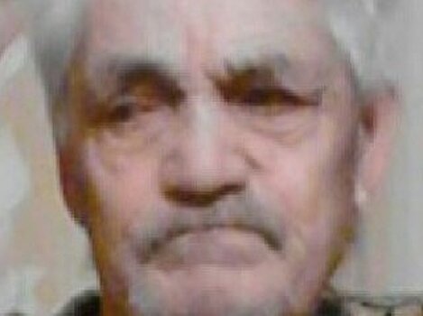 В ряде регионов ищут пропавшего без вести 91-летнего Леонида Васильева