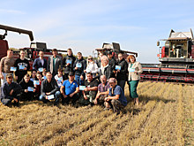 40 тысяч жителей Новосибирской области ежегодно участвуют в профориентационных мероприятиях нацпроекта «Кадры»