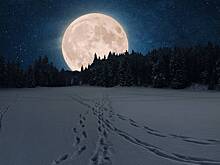 Снежная Луна в феврале 2026 года: дата, время, особенности полнолуния