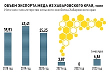 Пасечники Хабаровского края призвали смягчить требования к отрасли пчеловодства