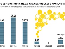 Пасечники Хабаровского края призвали смягчить требования к отрасли пчеловодства