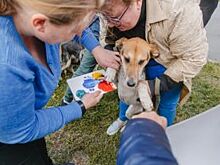 На открытии первой аллеи строителей собрали деньги на лечение ребенка