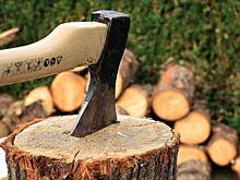 В Приморье расширяют перечень случаев заготовки древесины