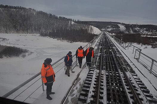 По якутской железной дороге незаконно перевезли грузов на 280 млн рублей