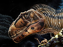 Найден гигантский хищный динозавр с крошечными передними лапками
