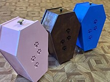 Маленькие гробы и урны для праха – как устроен рынок ритуальных услуг для животных в Новосибирске