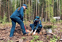 Челябинские пожарные приняли участие в международной акции «Сад памяти»