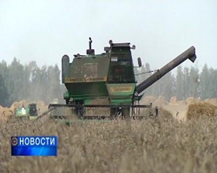 В Башкортостане урожай зерновых составит 3,3 миллиона тонн