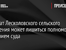 Депутат Лесколовского сельского поселения может лишиться полномочий решением суда