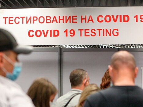 В пунктах пропуска через границу РФ могут ввести выборочное тестирование на COVID-19