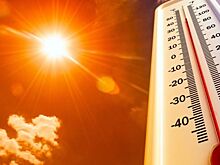 В Ростовской области ожидается сильная жара 40°