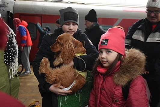 Беженцев из ДНР и ЛНР продолжают размещать в Подмосковье