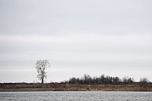 Уровень воды в реке Обь у села Могочино Томской области поднялся за сутки на 115 см