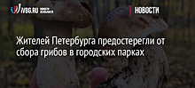 Жителей Петербурга предостерегли от сбора грибов в городских парках