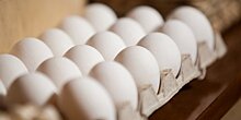 Диетолог рассказала, можно ли яйца хранить вне холодильника