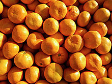 Россиянам дали советы по выбору мандаринов