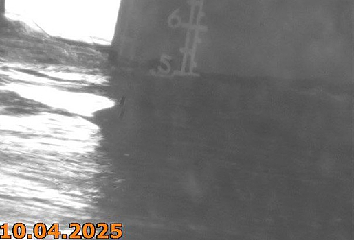 Глава Новокузнецка сообщил о поднятии уровня Томи на 70 сантиметров за сутки