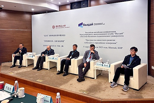 Эксперты "Валдая" из России и Китая обсудили глобальное и региональное развитие