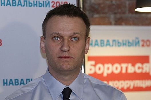 Журналист требует расследовать факты зарубежного финансирования Навального