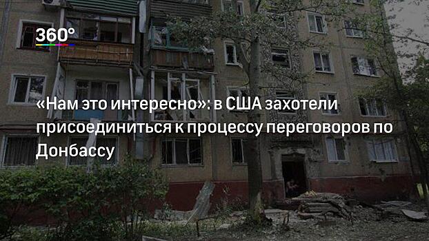 «Замылить» минский процесс»: в Совфеде отреагировали на желание США «вписаться» в нормандский формат