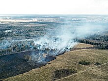 За минувшую неделю в Подмосковье ликвидировано четыре лесных пожара