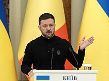 Депутат Рады обвинила Зеленского в незнании конституции