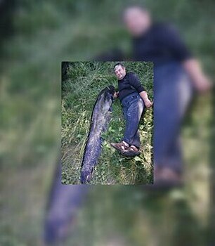 В Славском районе рыбак вытащил из реки двухметрового сома