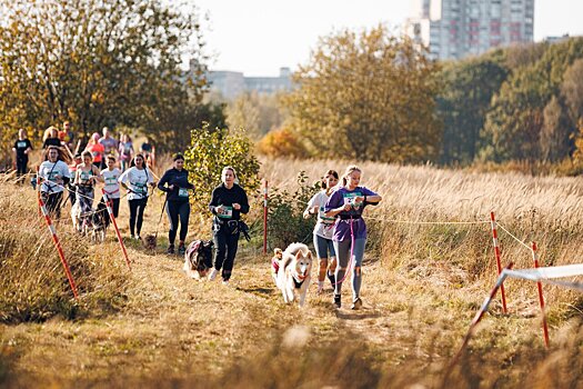 Открылась регистрация на забеги в Битцевском лесу. Кроссы «Лисья гора» и «Быстрый пёс» пройдут 19 и 20 апреля