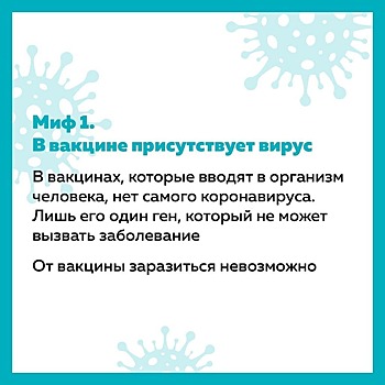 Власти Татарстана развенчали 9 мифов о вакцинации. Максимально просто и понятно