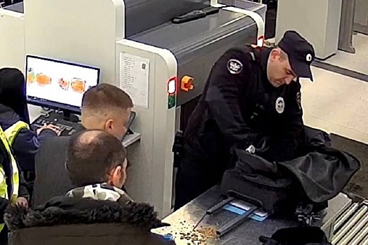 Вахтовик пытался тайком вывезти золотые слитки из Сибири за границу