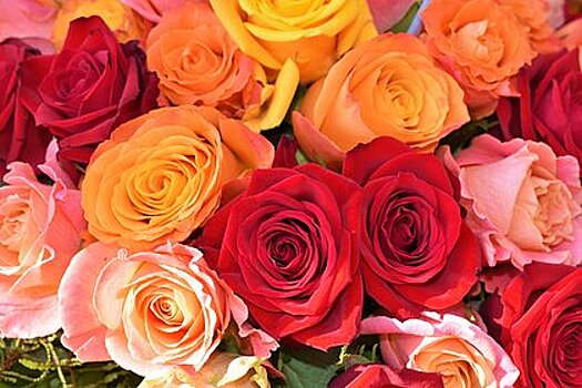 Российский грабитель цветочных магазинов попался на краже охапки роз