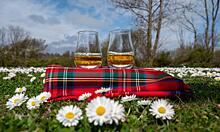 В 2020 году в Шотландии число смертей от алкоголя побило рекорд десятилетия